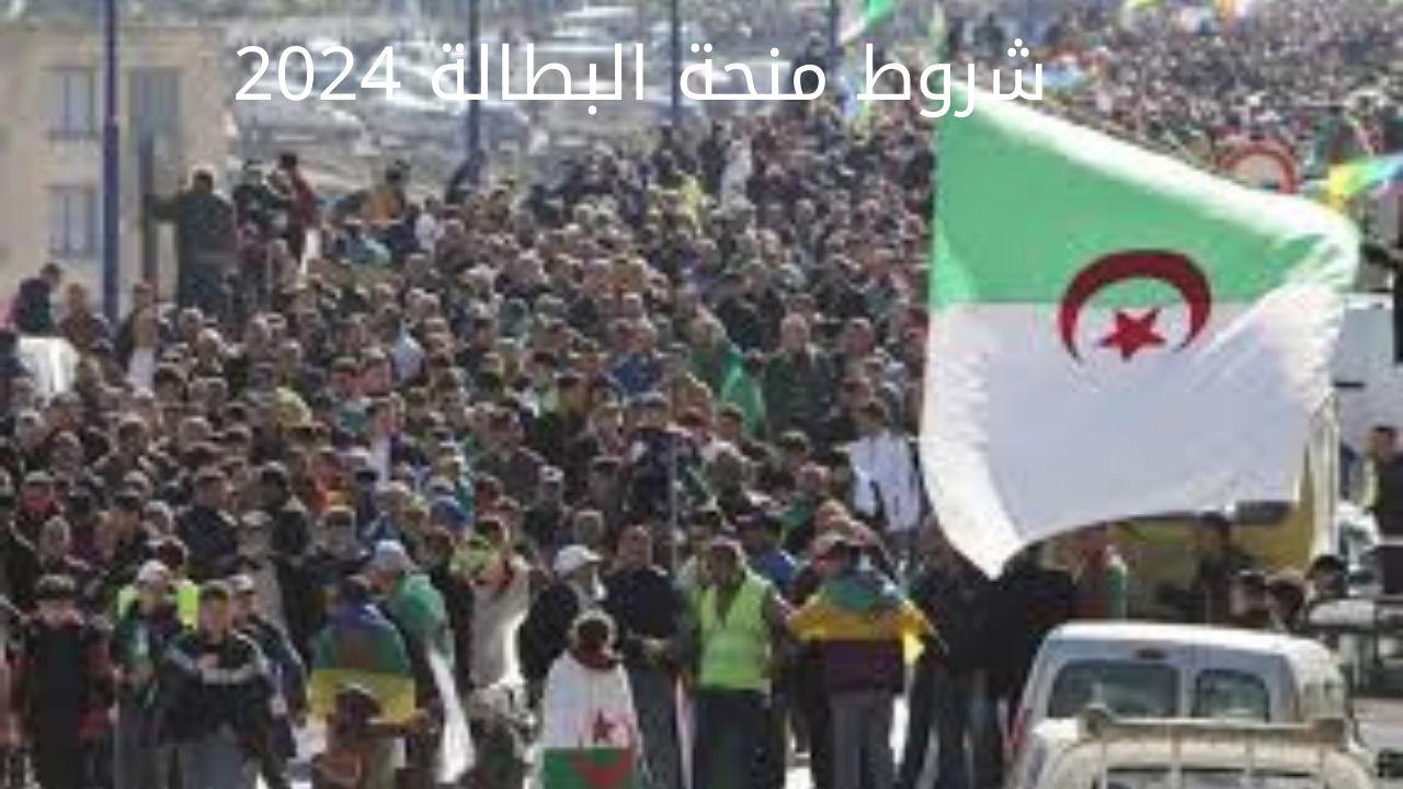 شروط منحة البطالة 2024