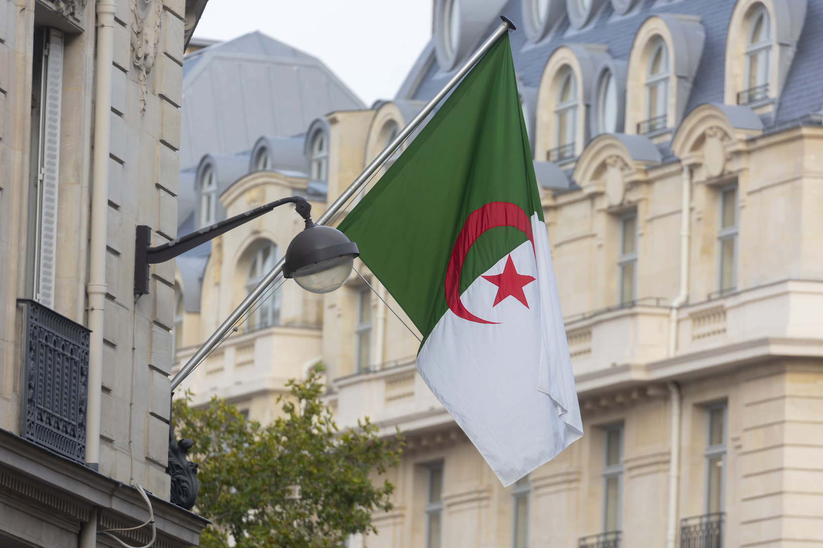 تجديد منحة البطالة كل ٦ أشهر