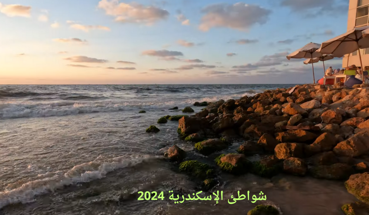 شواطئ الاسكندرية 2024