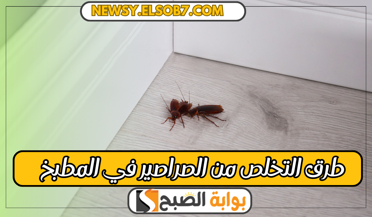 طرق التخلص من الصراصير في المطبخ