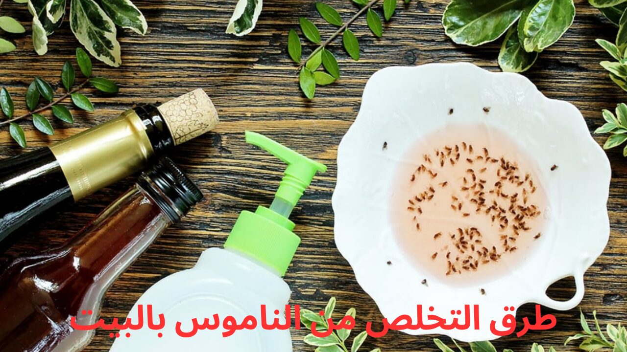 طرق التخلص من الناموس بالبيت
