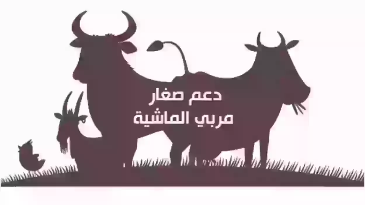 طريقة التسجيل في دعم المواشي 1445