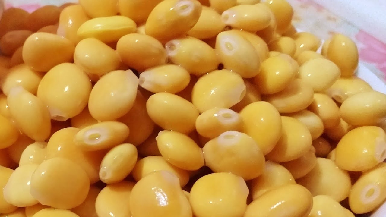 طريقة عمل الترمس المر