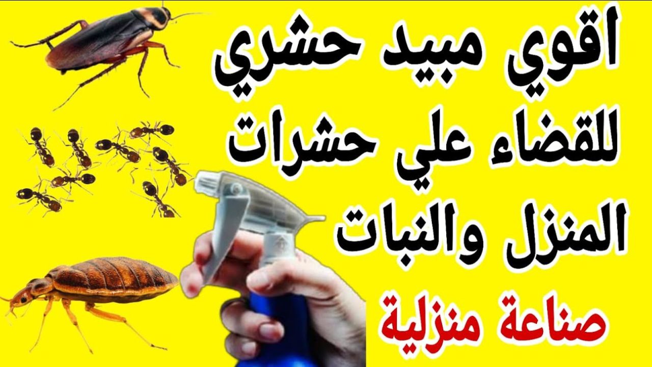 طريقة عمل مبيد منزلي للحشرات