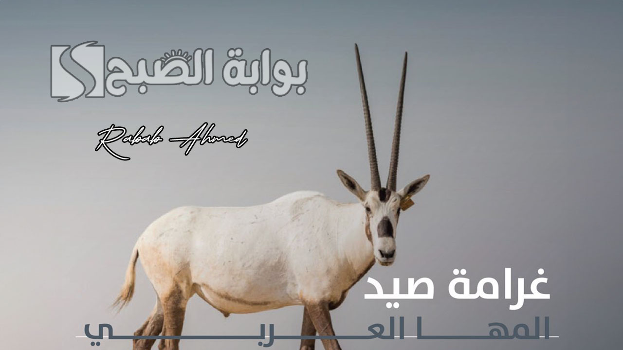 غرامة صيد المها العربي