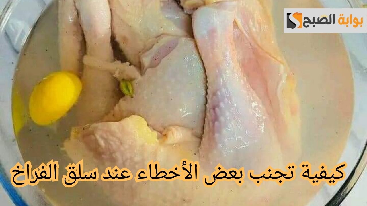 كيفية تجنب بعض الأخطاء عند سلق الفراخ