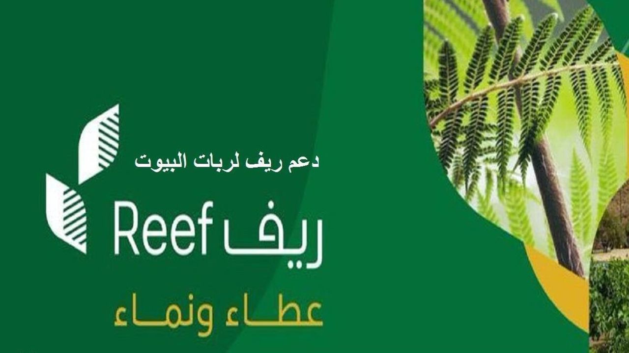 ما هي خطوات التسجيل في دعم ريف.. وأهم الشروط المطلوبة للحصول على الدعم الريفي