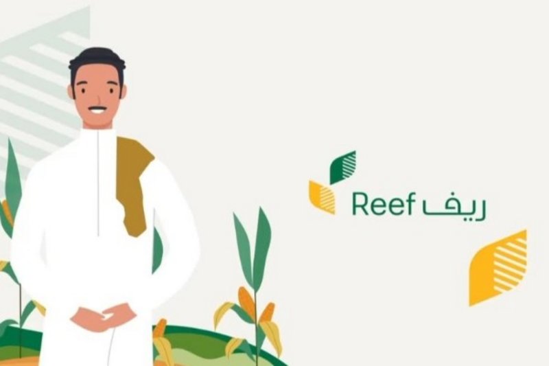 متى ينزل دعم ريف بعد قبول الطلب؟1