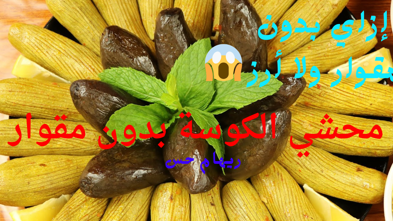 محشي الكوسة