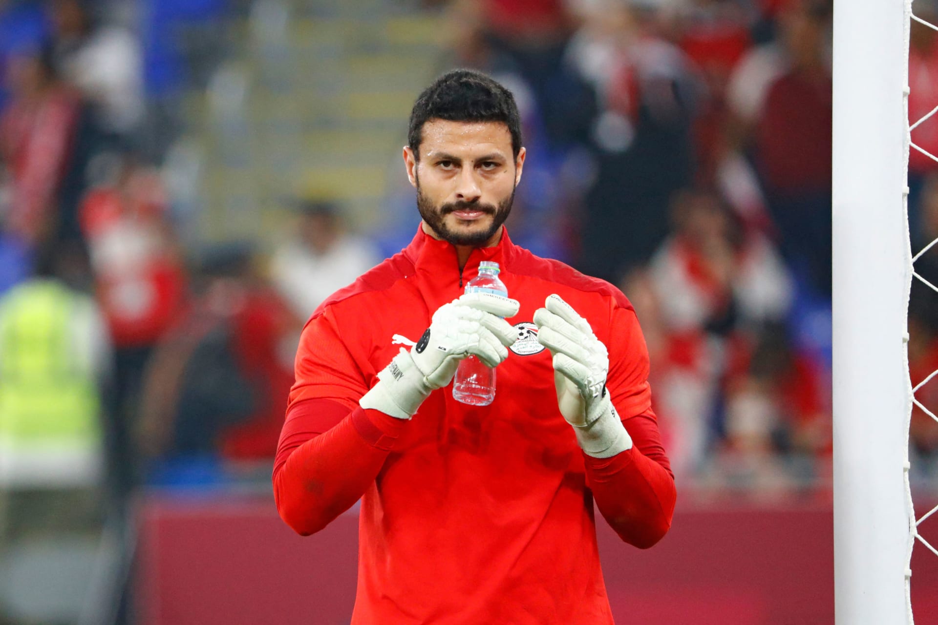 محمد الشناوي 2