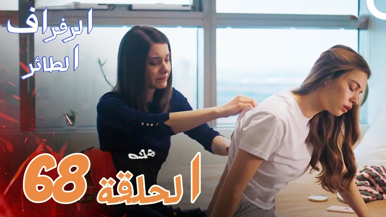 مسلسل طائر الرفراف الحلقة 68 مترجمة والقنوات الناقلة للمسلسل على الاقمار الصناعية نايل سات وعرب سات