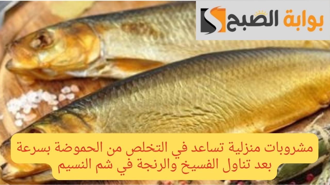 مشروبات منزلية تساعد في التخلص من الحموضة بسرعة بعد تناول الفسيخ والرنجة في شم النسيم