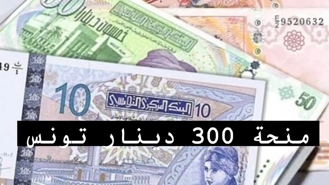 منحة 300 دينار 2024 تونس