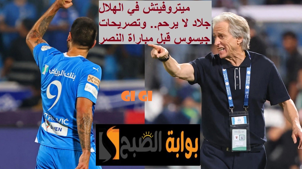 ميتروفيش