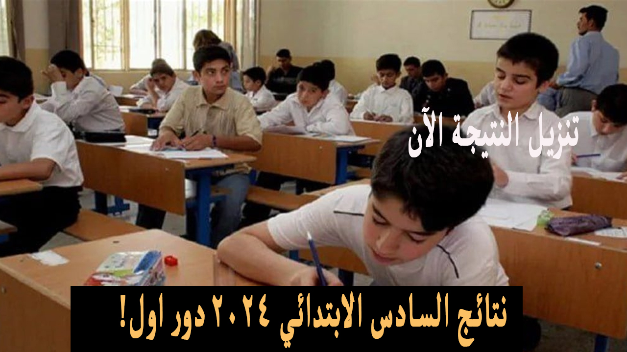 نتائج السادس الابتدائي 2024 دور اول