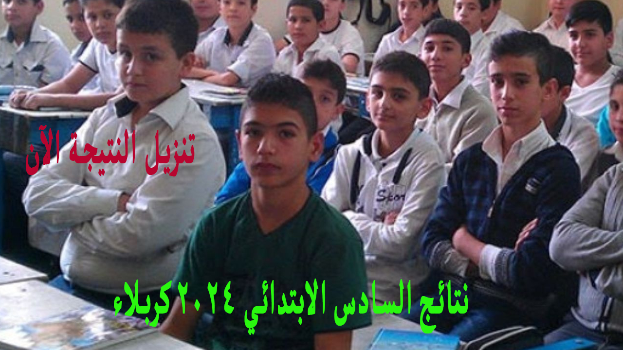 نتائج السادس الابتدائي 2024 كربلاء