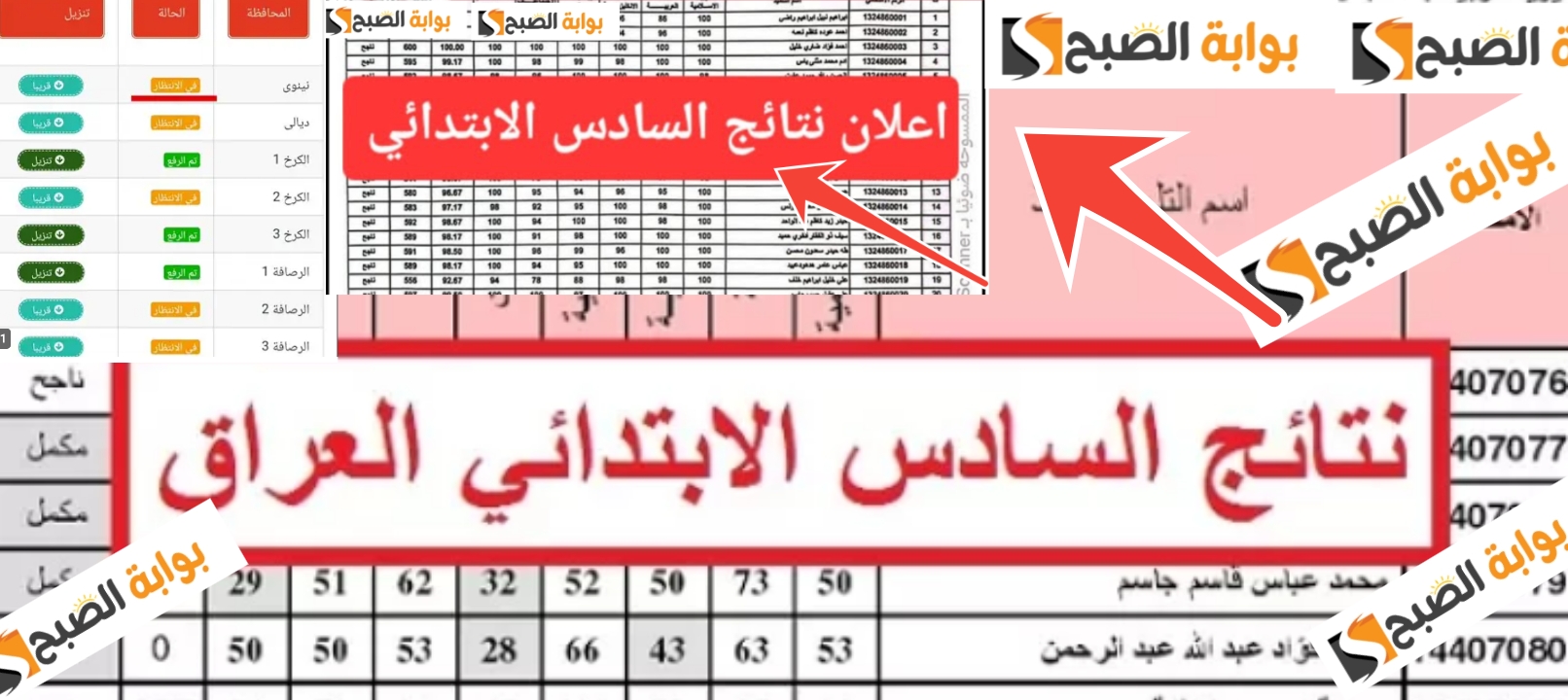 نتائج السادس الابتدائي 6
