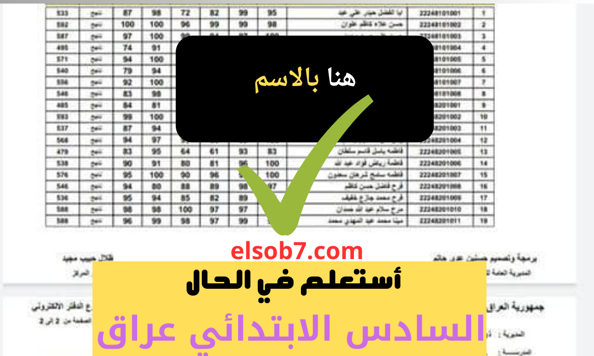 نتائج السادس الابتدائي نينوي ٢٠٢٤