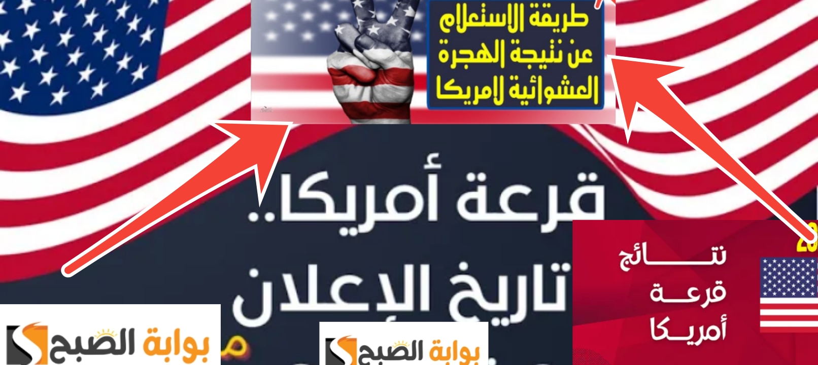 نتائج الهجرة العشوائية لأمريكا