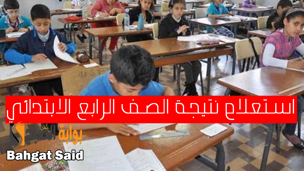 نتيجة الصف الرابع الابتدائي 2024