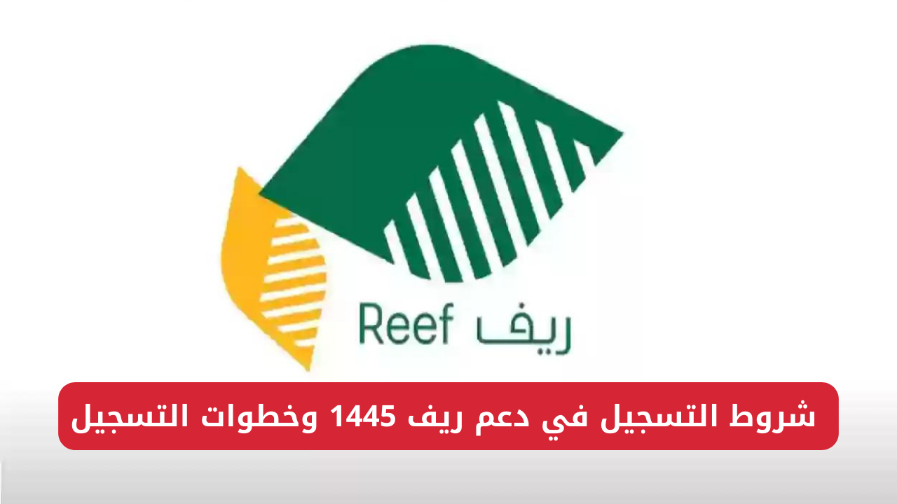 دعم ريف