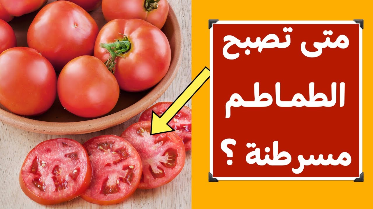 "تسبب الاصابة بمرض السرطان" احذر من شراء هذا النوع من الطماطم الضارة وبعض النصائح المهمة عند شراء الطماطم