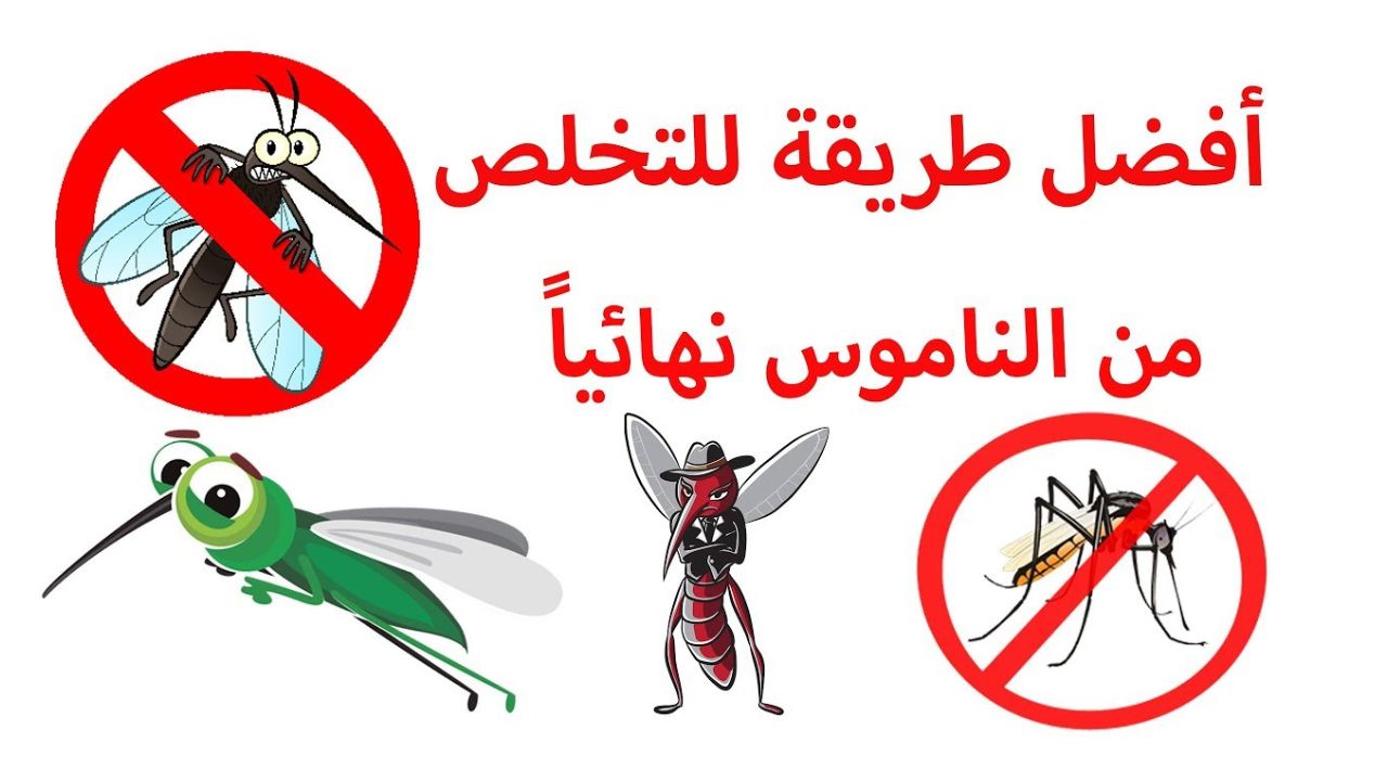 وصفة رهيبة للتخلص من الناموس