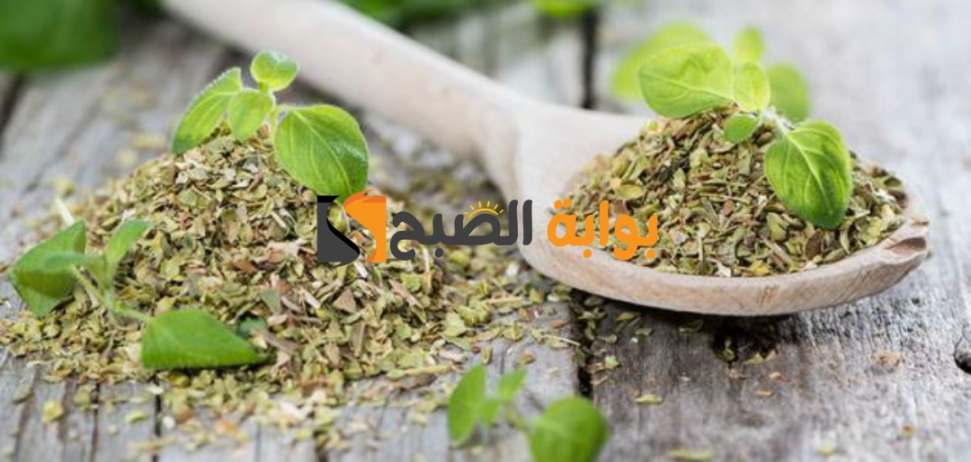 وصفة للتخسيس وتنحيف الجسم