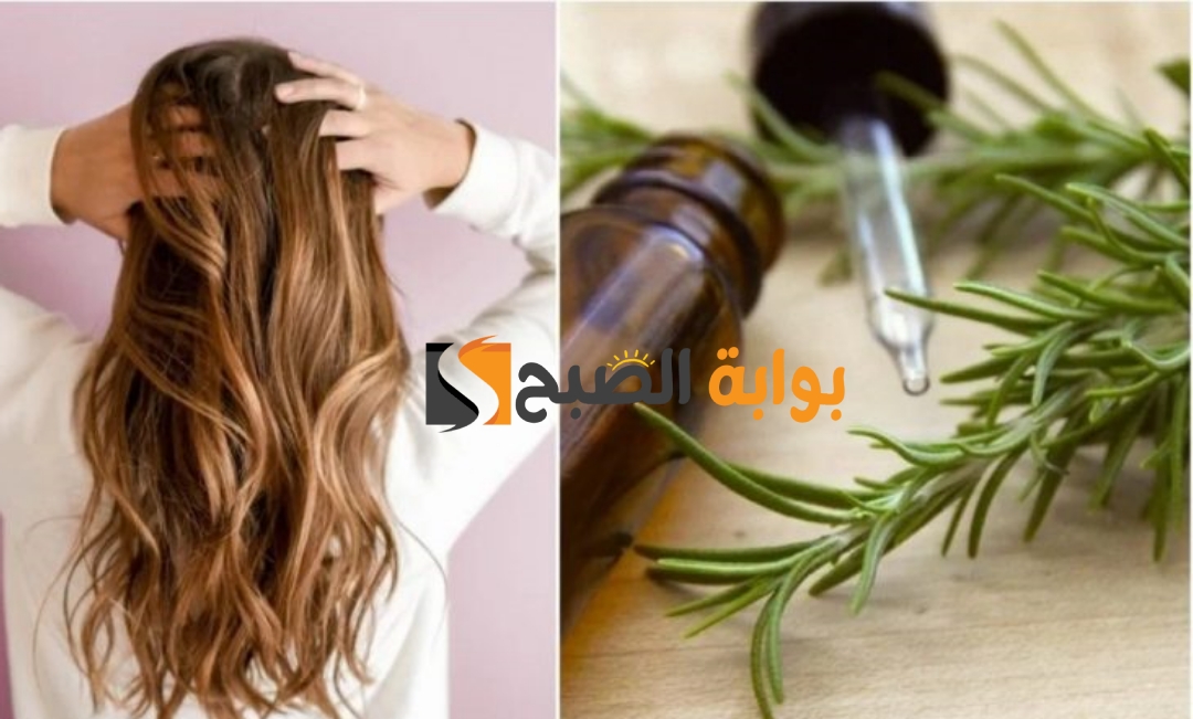 طريقة استخدام زيت اكليل الجبل للشعر