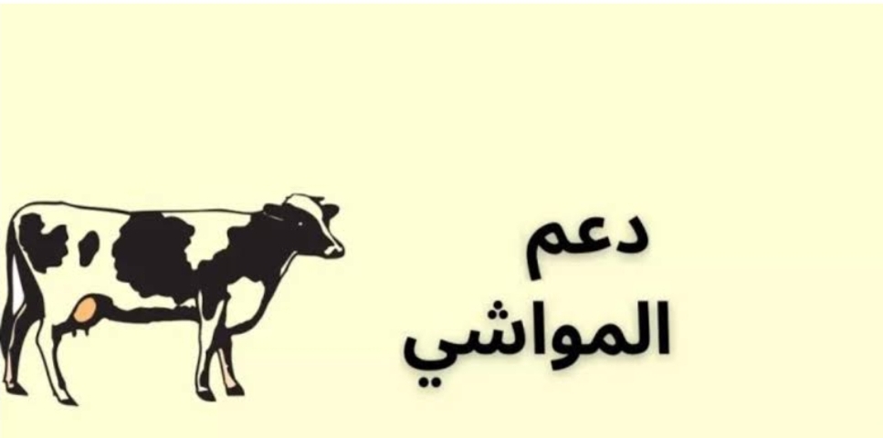 ‪خطوات التسجيل لطلب دعم المواشي 1445