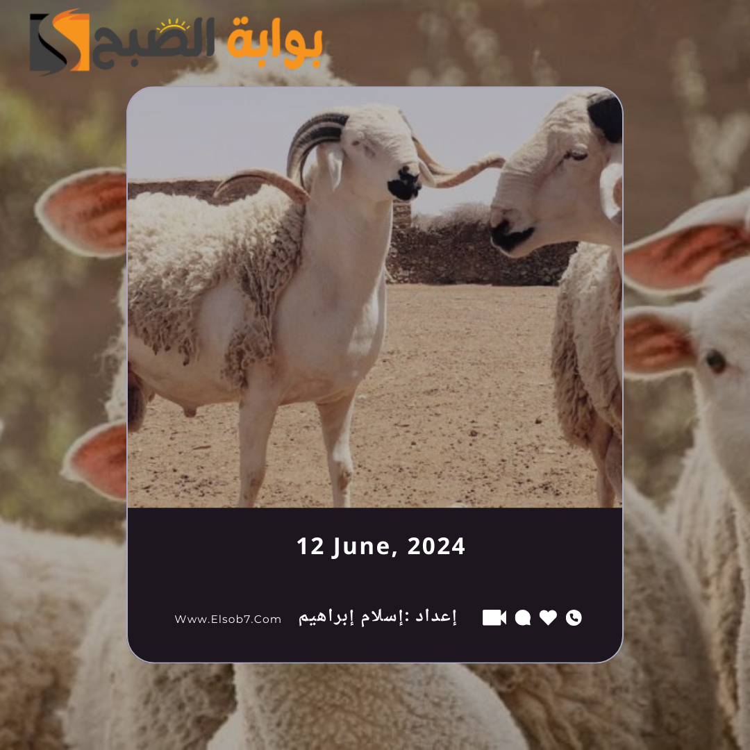 مواقع بيع الأضاحي المؤقتة في الرياض 2024
