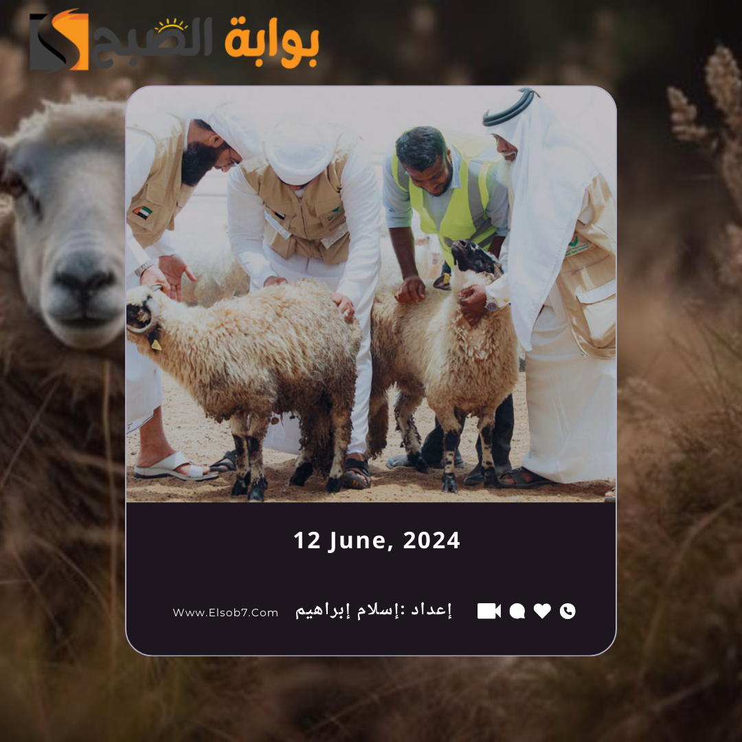 أماكن ذبح الأضاحي في جدة 2024