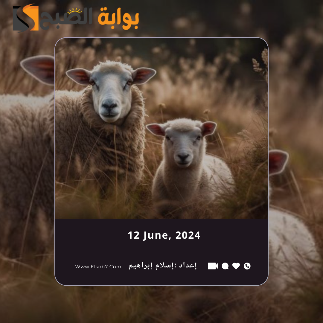 صك الاضحية في السعودية 1445 – 2024