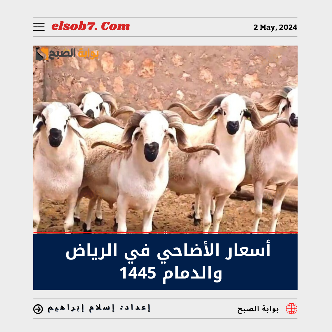 كم أسعار الأضاحي في الرياض والدمام 1445 - 2024