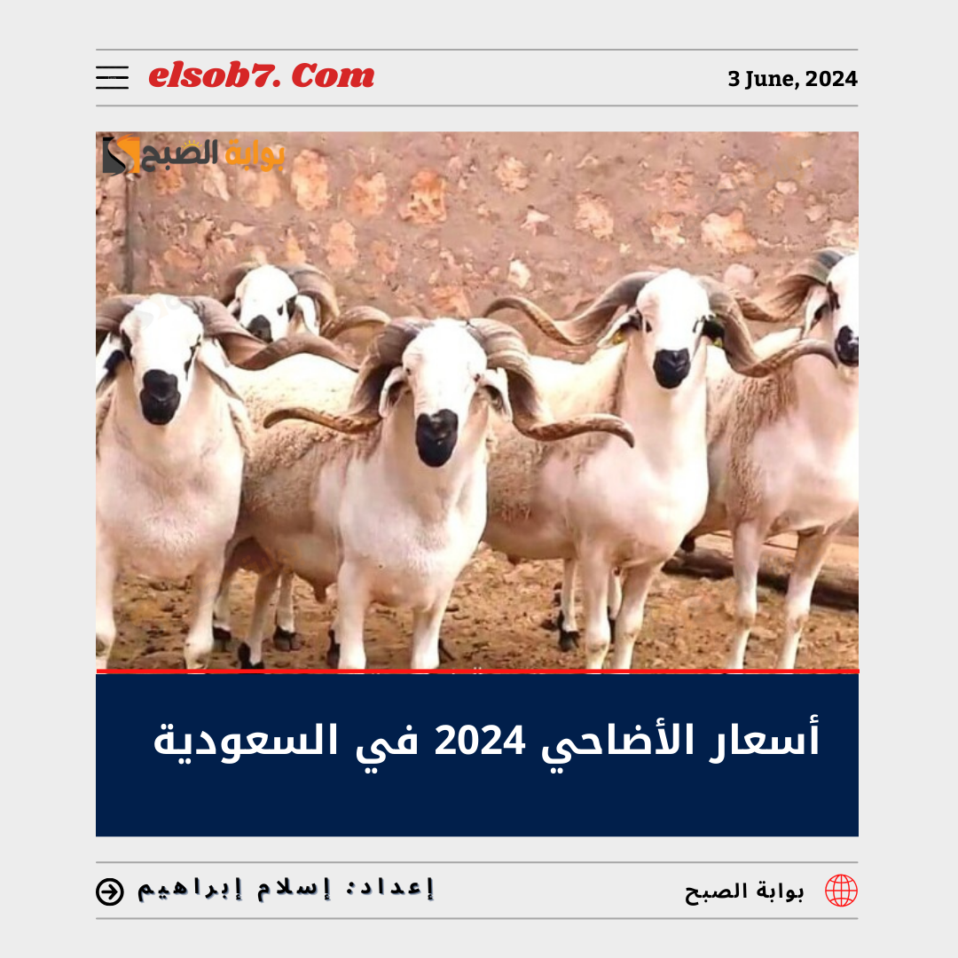 أسعار الأضاحي 2024 في السعودية