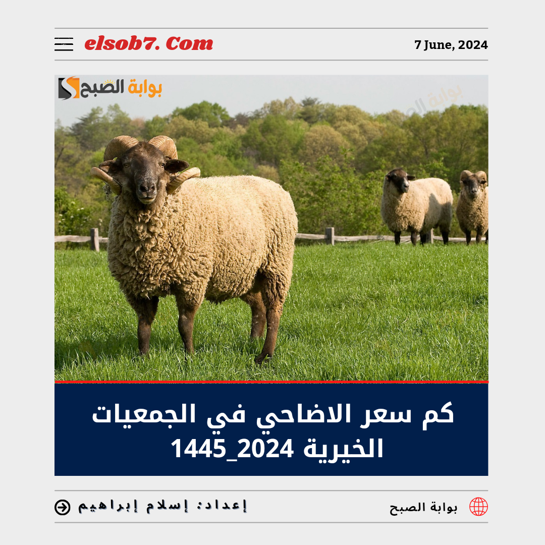 كم سعر الأضاحي في الجمعيات الخيرية 2024 – 1445