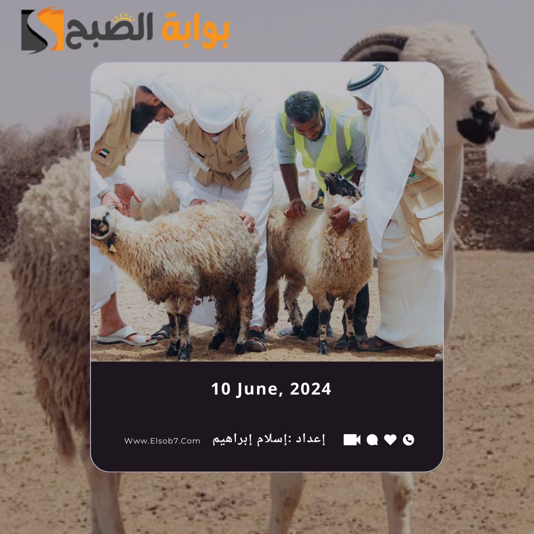 سعر الذبح للأضحية 2024 الدمام