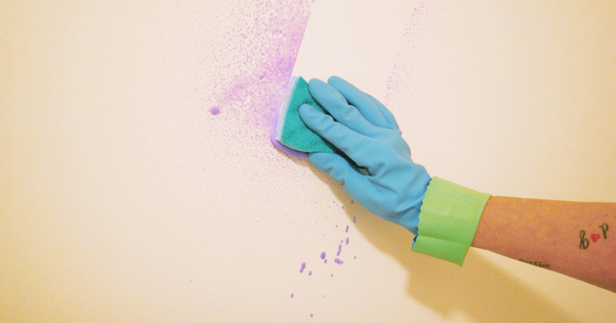 1704544973 0 Cropped Hand Of Woman Cleaning Wall