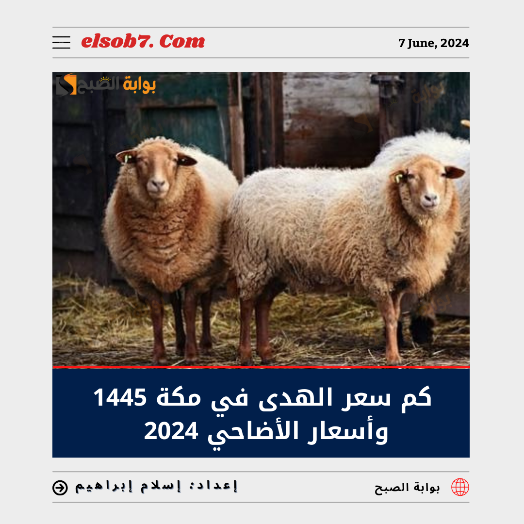 كم سعر الهدى في مكة 1445 وأسعار الاضاحي في السعودية 2024