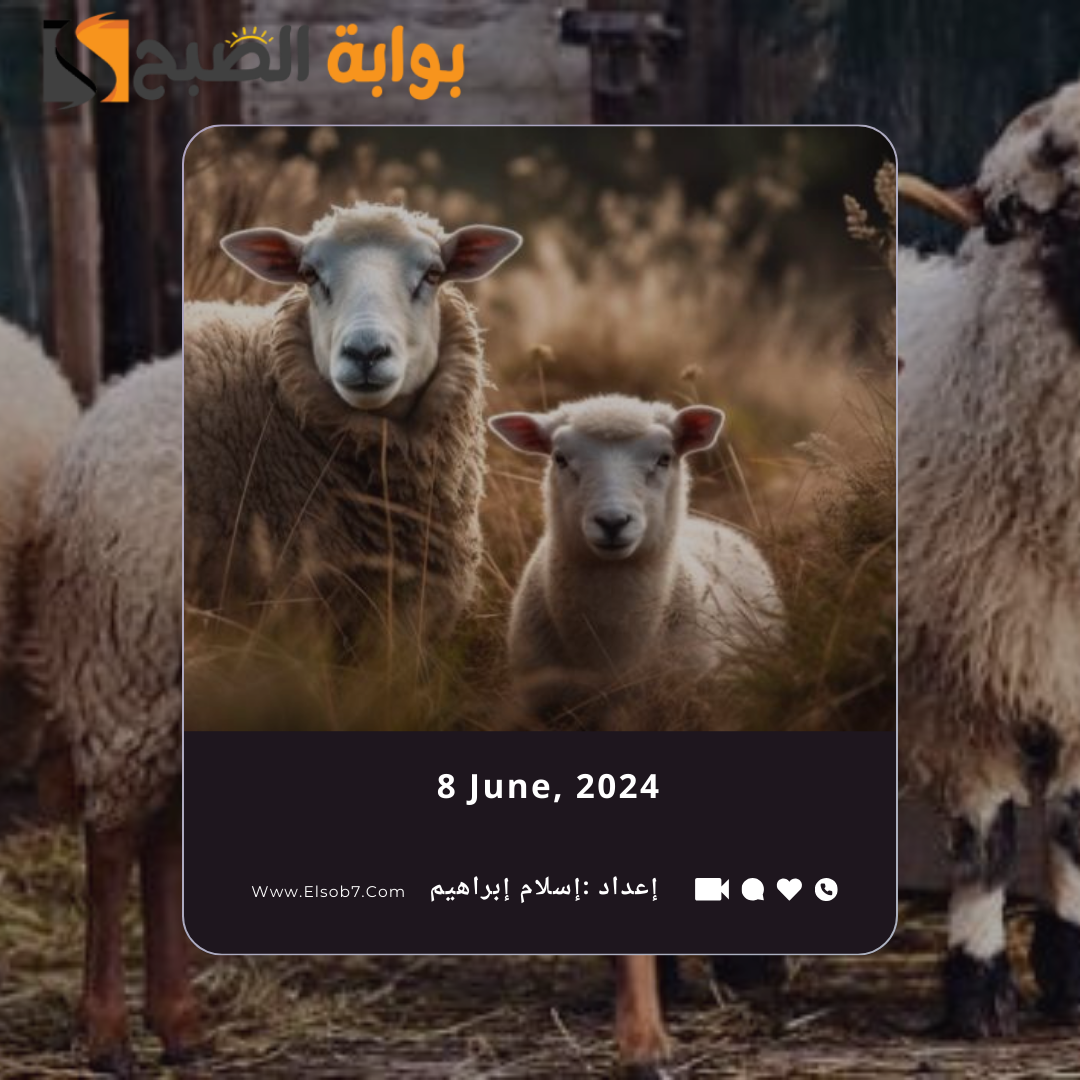 مواقع بيع الأضاحي المؤقتة في الرياض 2024