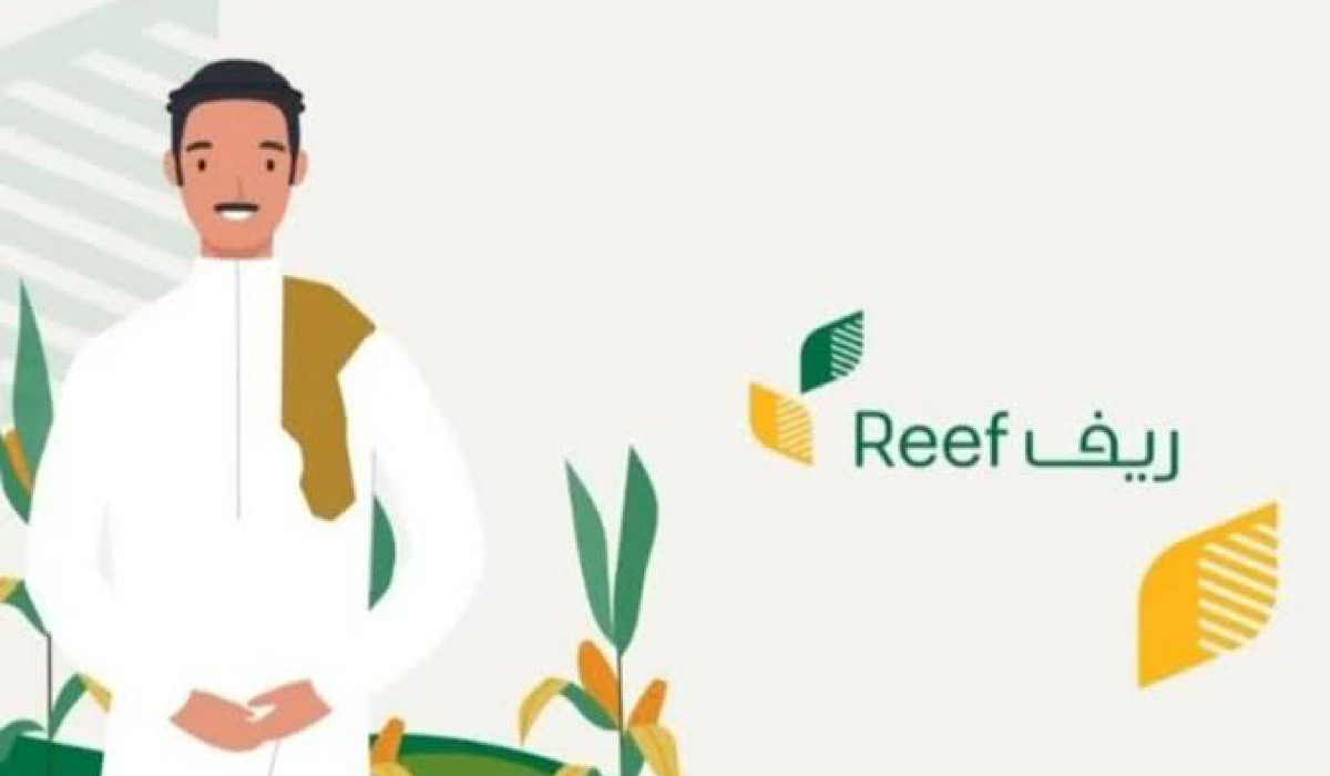 شروط دعم ريف