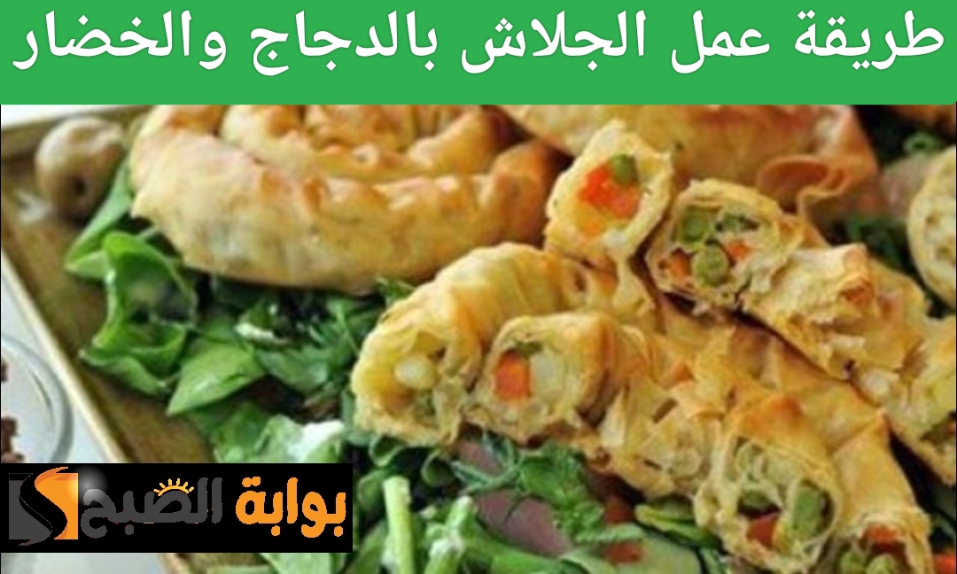 طريقة عمل الجلاش