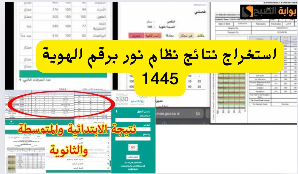 IMG ٢٠٢٤٠٦٠٨ ١١٥٠٠٣