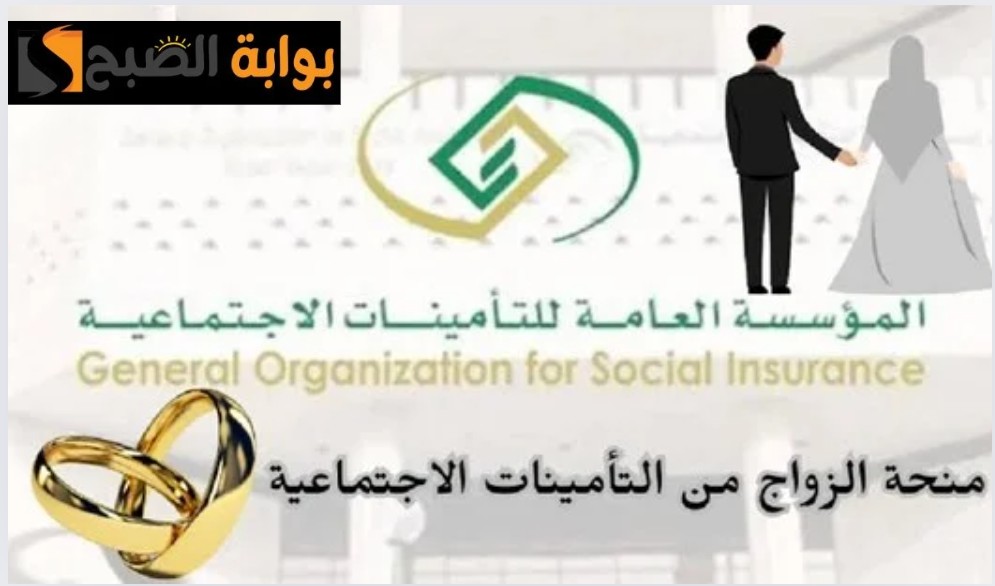 IMG ٢٠٢٤٠٦٠٩ ١٩٤٢٤٠