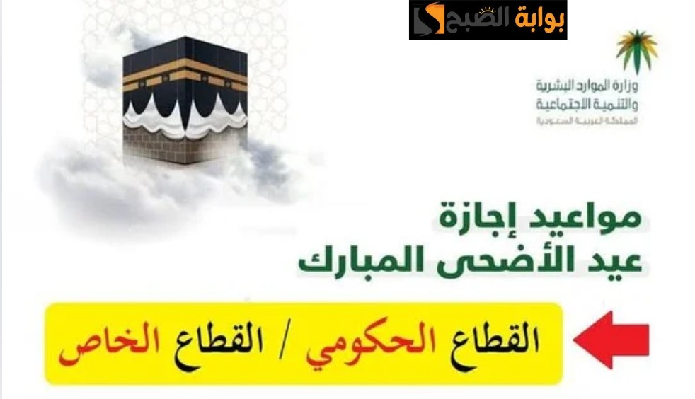 IMG ٢٠٢٤٠٦١٣ ٢١٣٤٥١