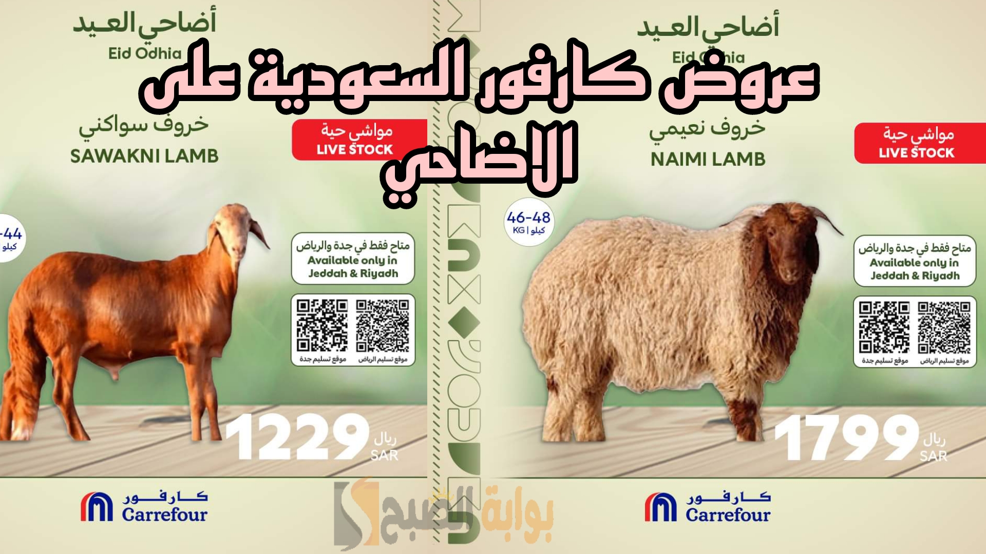 كارفور السعودية