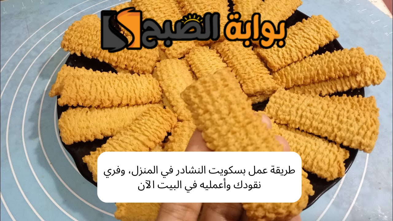 طريقة عمل بسكويت النشادر في البيت