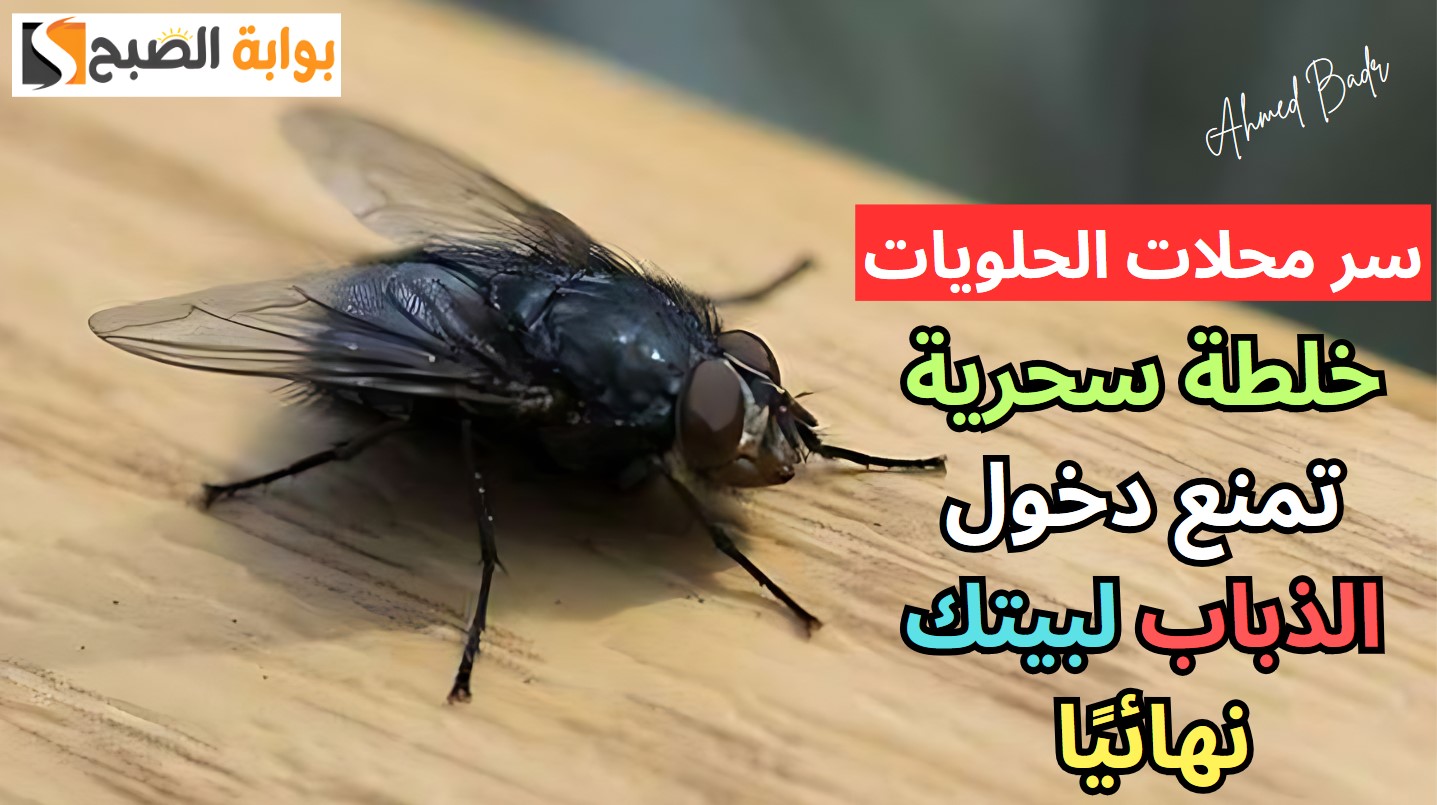 خلطة سحرية تمنع دخول الذباب لبيتك نهائيًا سر محلات الحلويات