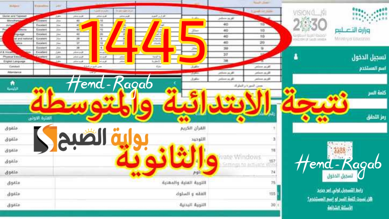 T401717519453169