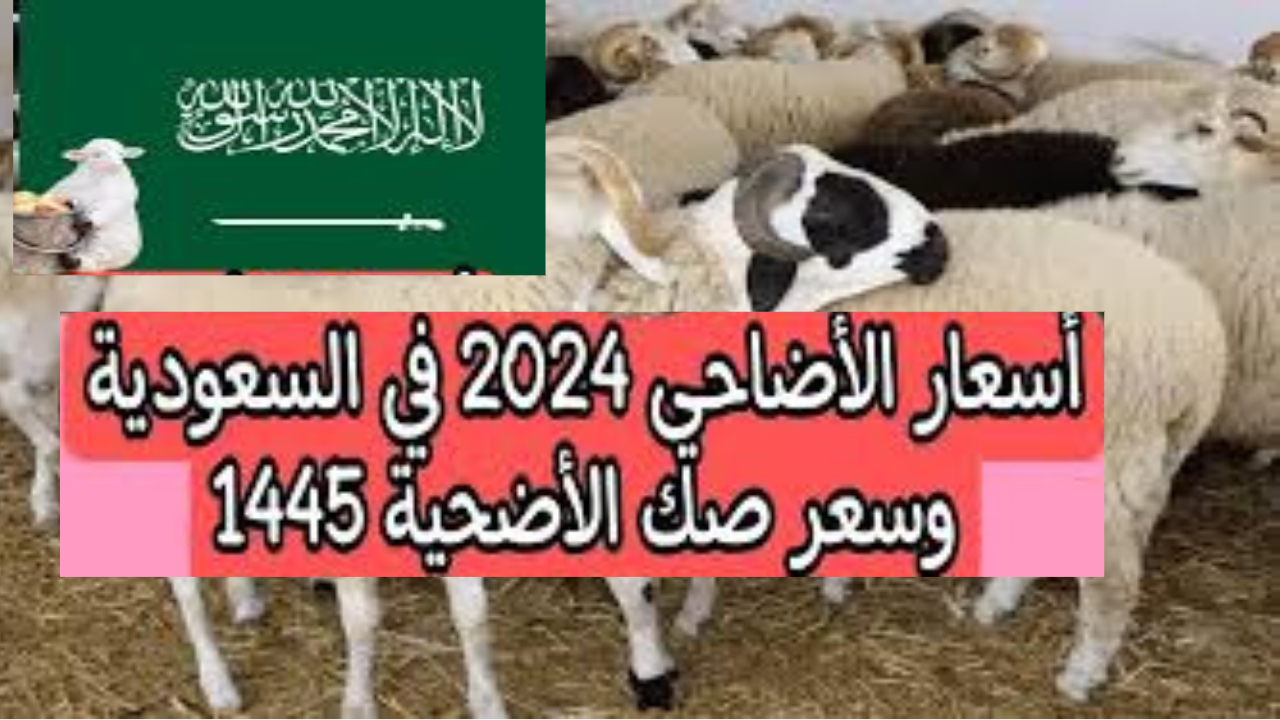 أماكن الأضاحي في السعودية 1445